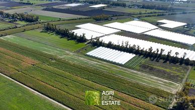 Terreno agricolo di 8 HA ca. | TR472