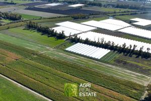 Terreno agricolo di 8 HA ca. | TR472