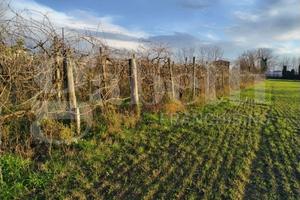 Terreno Agricolo Sant'Antimo [Cod. rif 3213982VCG]