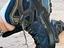Immagine 6