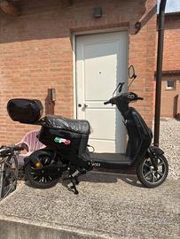 Bicicletta UFO ped assistita modello KING