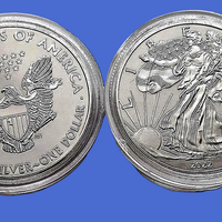 Dollaro Silver Eagle.  Non argento, leggere..
