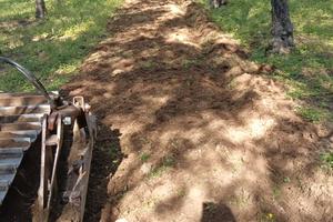 Terreno agricolo oliveto