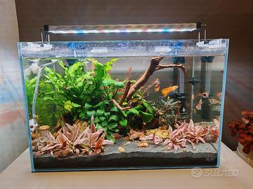 Acquario  Blau 