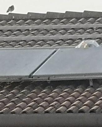 Pannello solare termico