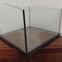 Acquario tartarughe e pesci