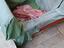 Immagine 2
