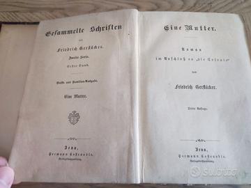 Eine Mutter von Friedrich Gerstacker