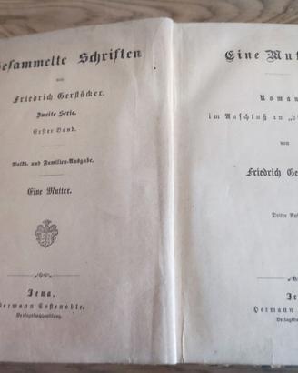 Eine Mutter von Friedrich Gerstacker