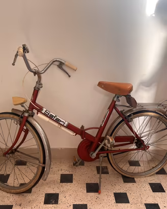 bici pieghevole Safari