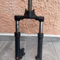 Steli Paioli booster