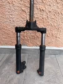 Steli Paioli booster