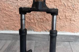 Steli Paioli booster