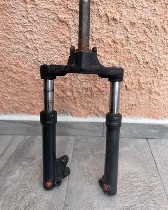 Steli Paioli booster