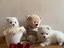Immagine 1
