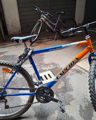 Mountain bike da uomo