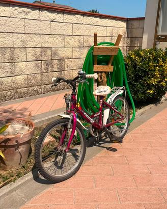 bicicletta bimba