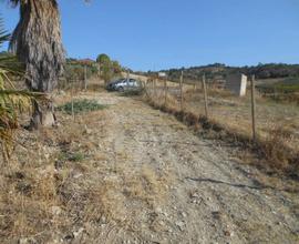 Terreno agricolo (uliveto) Borgo Favarella