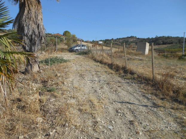 Terreno agricolo (uliveto) Borgo Favarella