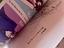 Immagine 5