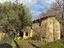 Immagine 17