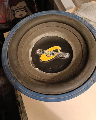 Subwoofer da riconare 