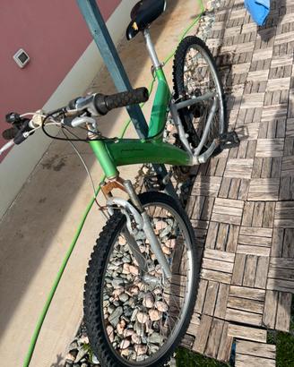 bicicletta