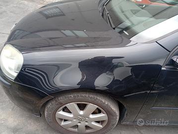 Parafango sx Volkswagen golf 5 anno 2004