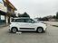 Immagine 7