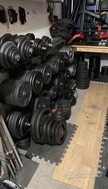 Dischi, bilancieri, manubri. Attrezzi palestra.