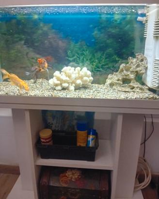 acquario con carpe e accessori 