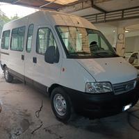 Ducato 9 posti