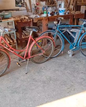 bici uomo e donna vintage 