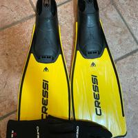 Pinne e gianti cressi sub