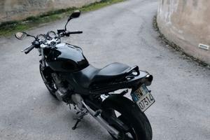 Honda hornet