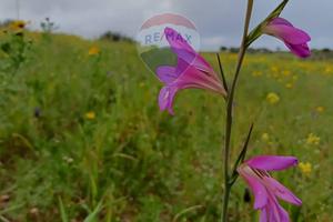 Terreno - Caltagirone