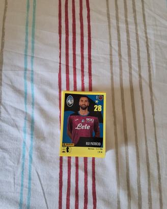 figurine calciatori panini 2024/25