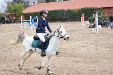 Pony