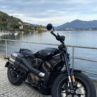 Harley sportster S