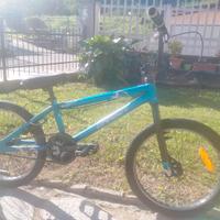 BMX Xup misura 19.5"