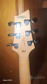 Chitarra elettrica cort+amplificatore peavey