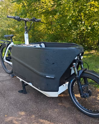 Bici cargo/porta bambini 