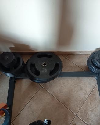 palestra completa