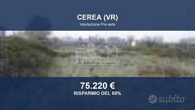 Immobile in asta di 2919 m² a Cerea