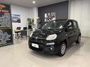 fiat-panda-1-2-young-69cv
