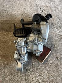 vari motori ape 50 