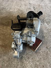 vari motori ape 50 