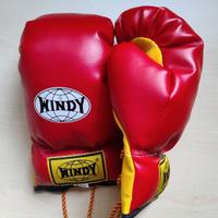 Guanti Boxe Windy 6oz con lacci 