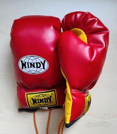 Guanti Boxe Windy 6oz con lacci 