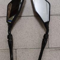 Specchietti dx sx